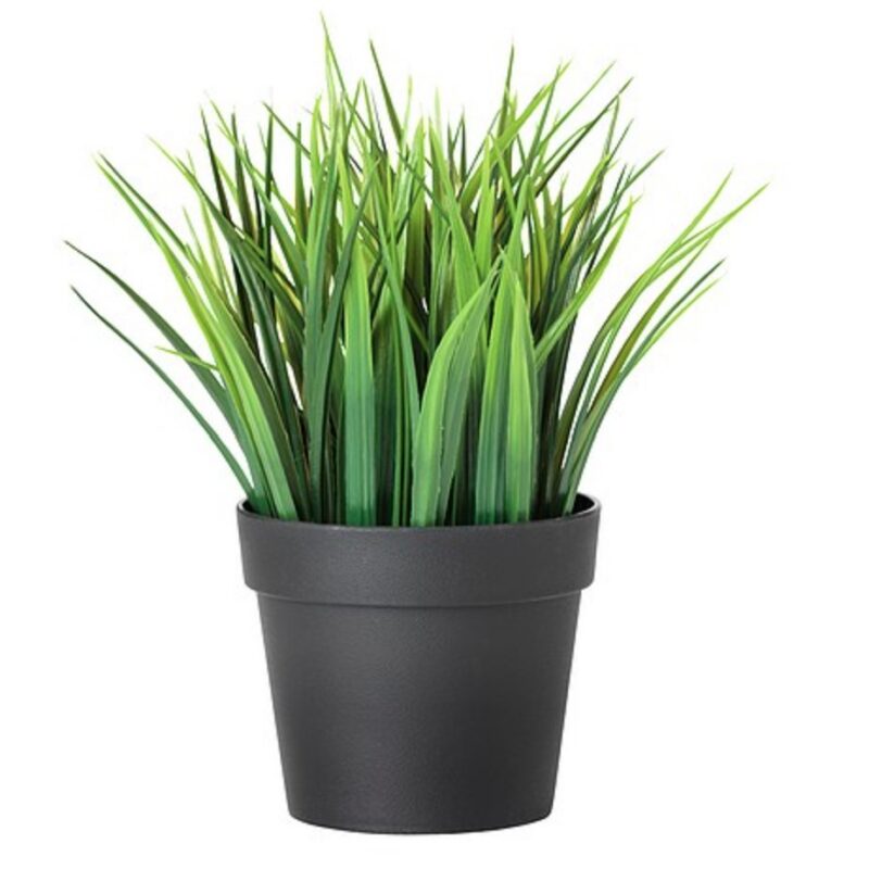 Kunstlill potis rent