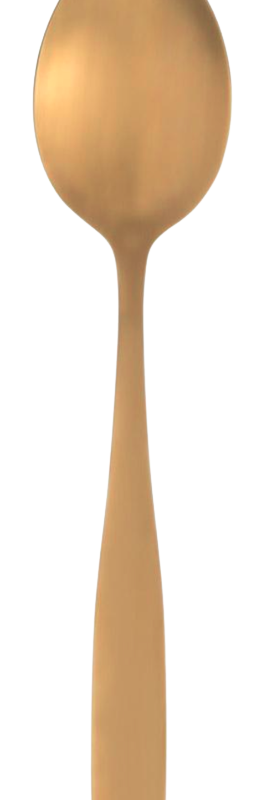 Serveerimislusikas kuldne matt 21.5cm rent