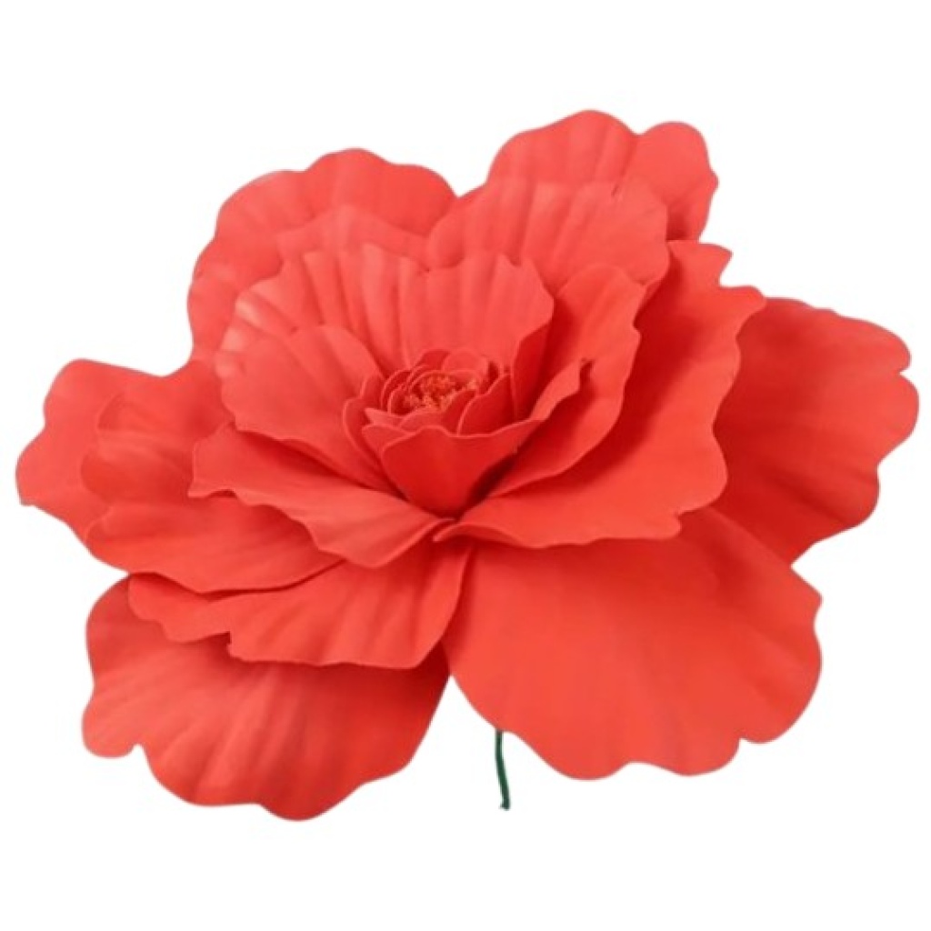 Punane Gigant lilleõis Ø60cm rent