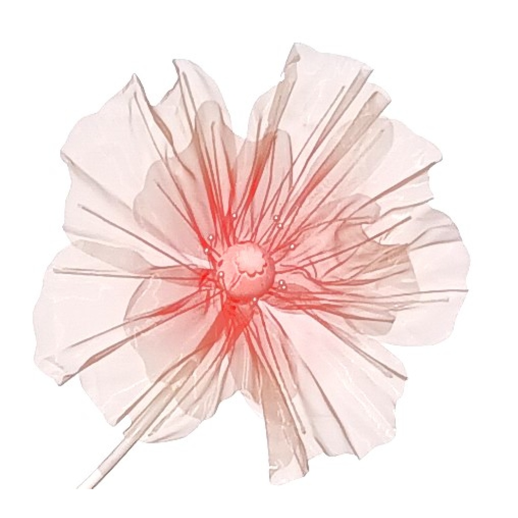 Roosa Gigant lilleõis Ø70cm rent