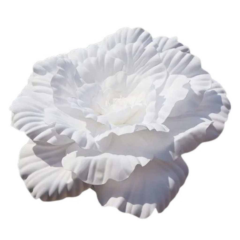 Valge Gigant lilleõis Ø50cm rent