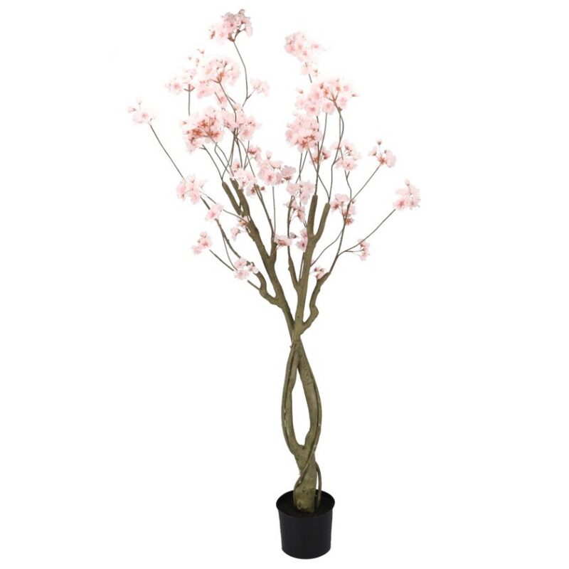 Kirsipuu roosa potis H180cm rent