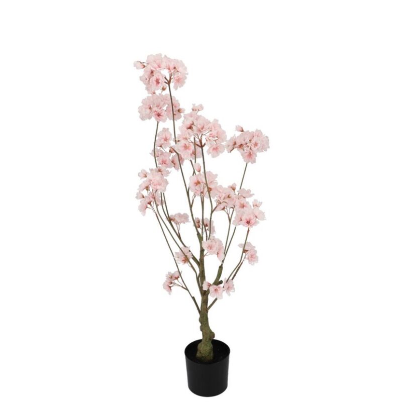 Kirsipuu roosa potis H90cm rent