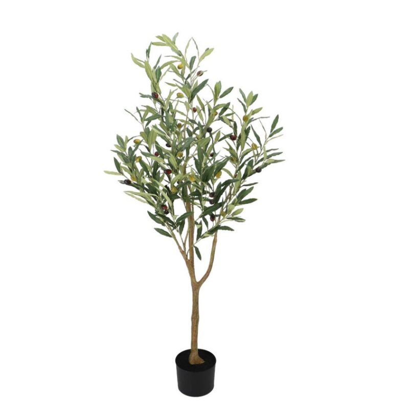 Oliivipuu potis H120cm rent