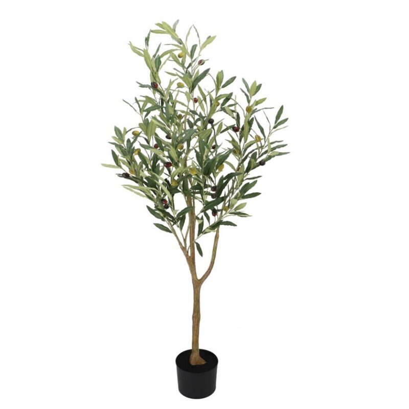 Oliivipuu potis H180cm rent