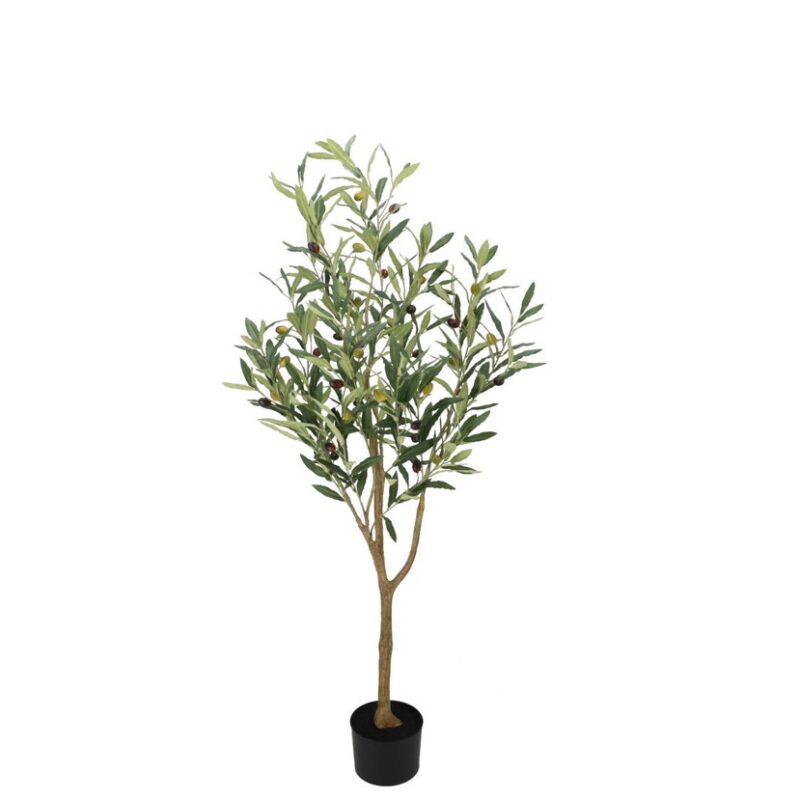 Oliivipuu potis H90cm rent